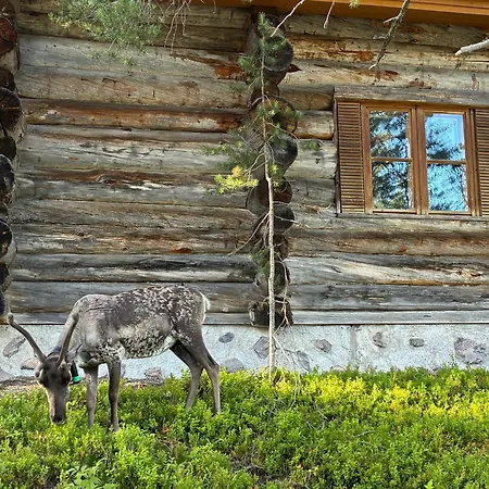 Silver Pines * Ruka