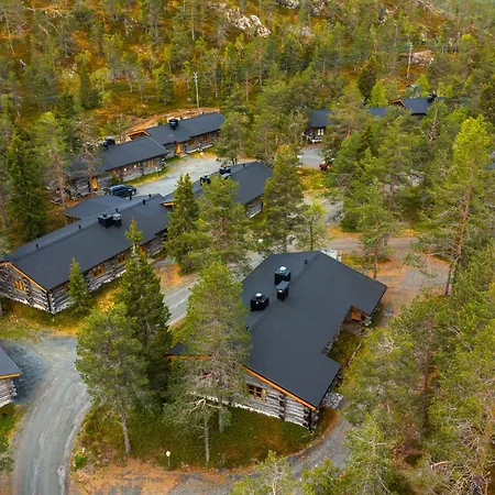Silver Pines * Ruka